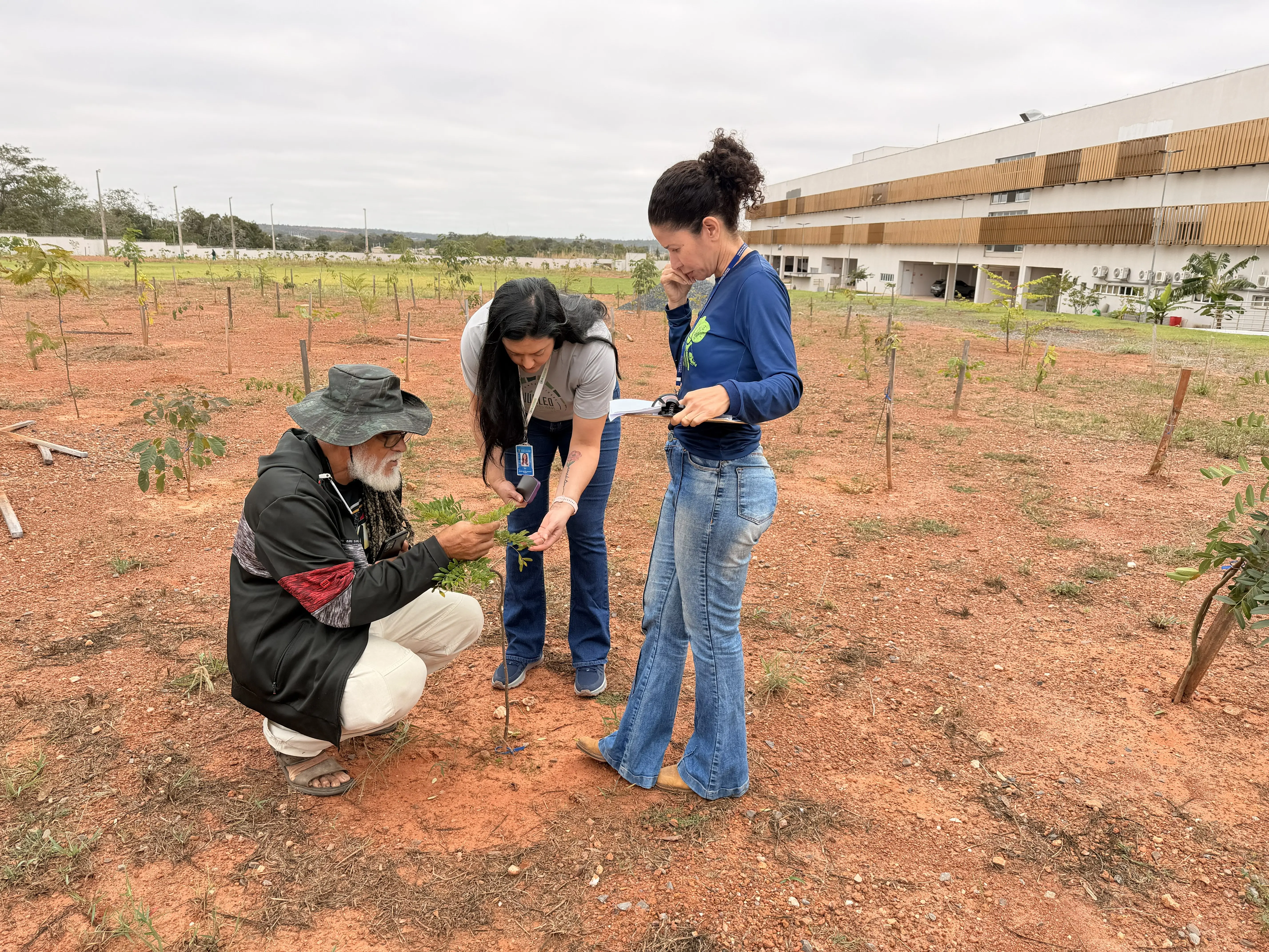 Três pessoas analisam uma pequena muda em solo avermelhado. Um homem de chapéu está agachado tocando a planta, enquanto duas mulheres observam, uma delas segurando uma prancheta. Ao fundo, há um edifício moderno sob céu nublado. A lateral esquerda possui artefatos de repetição.